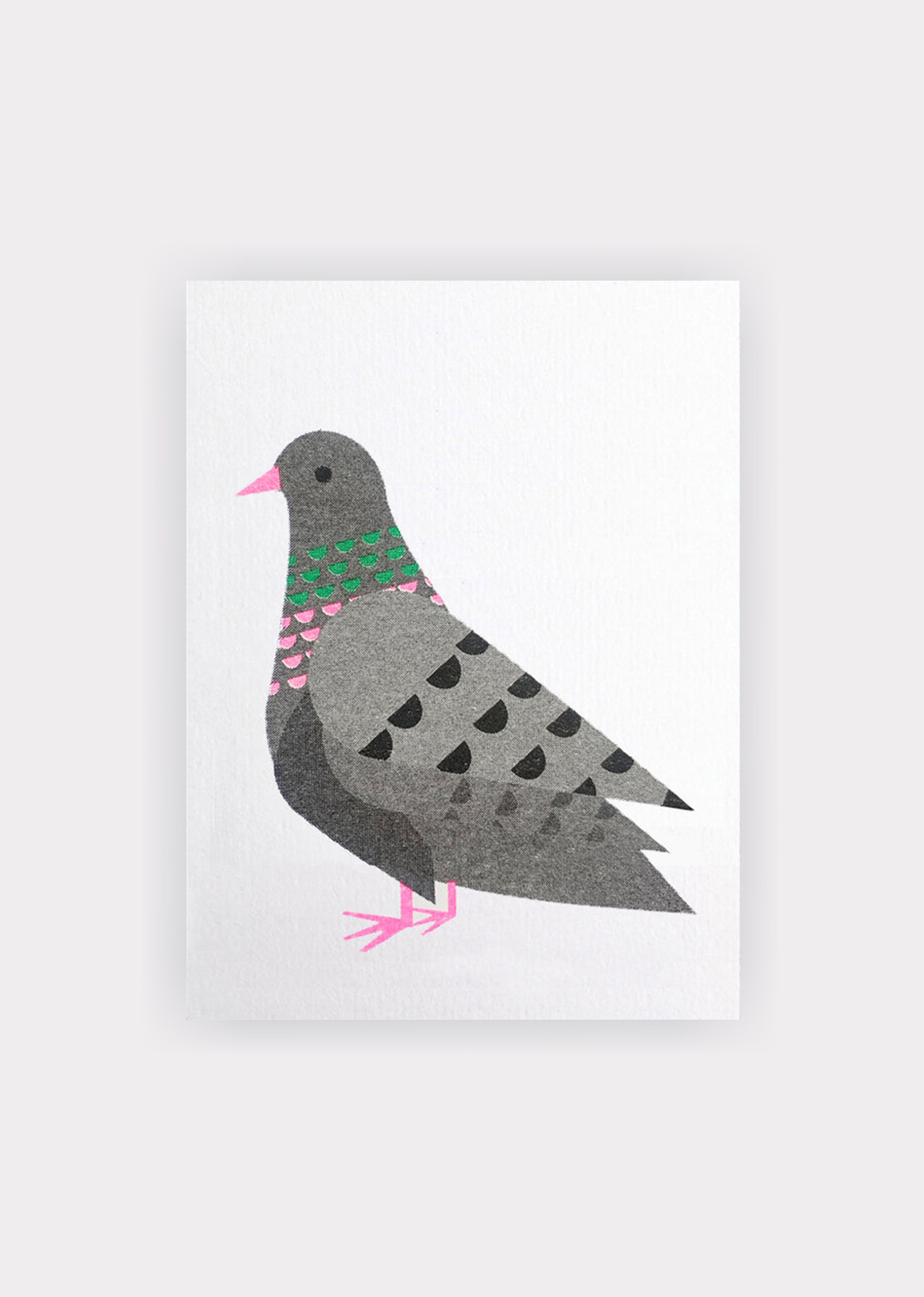 PIGEON MINI CARDS - MULTI