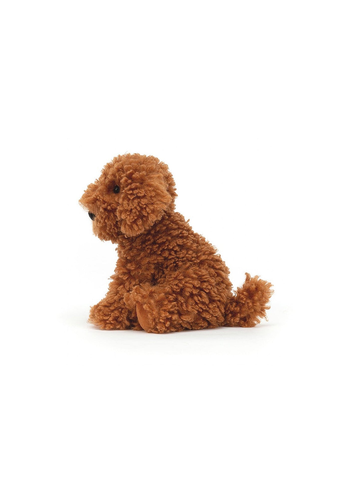 dog edited 2