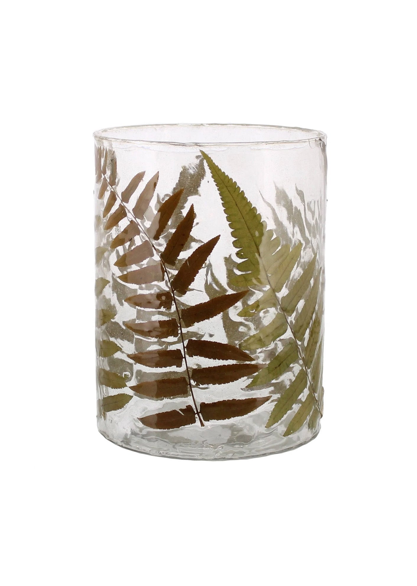 homartfern glass