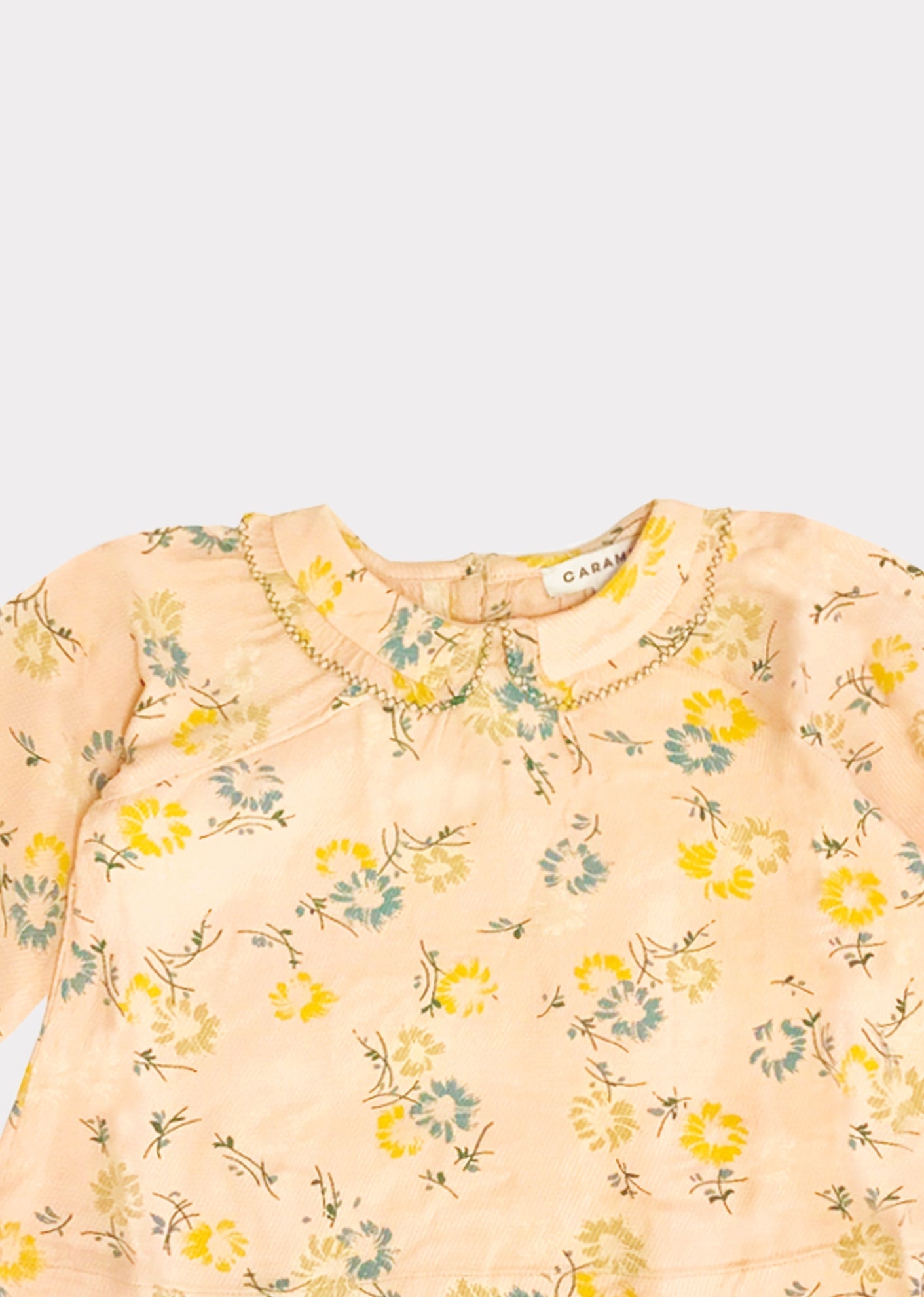 BEE BABY BLOUSE - BLUSH PAINTED FLOWER