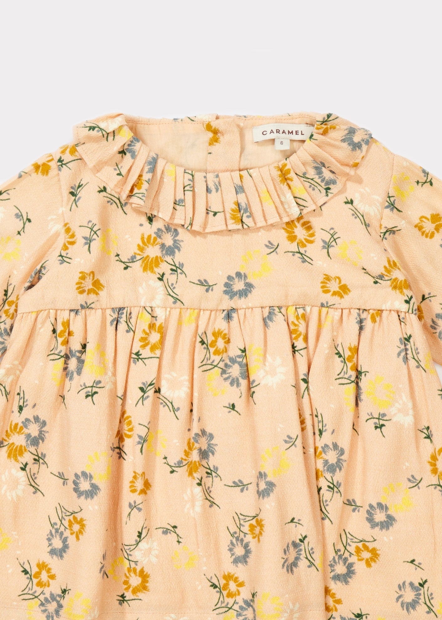 AVOCET BABY DRESS - BLUSH PAINTED FLOWER
