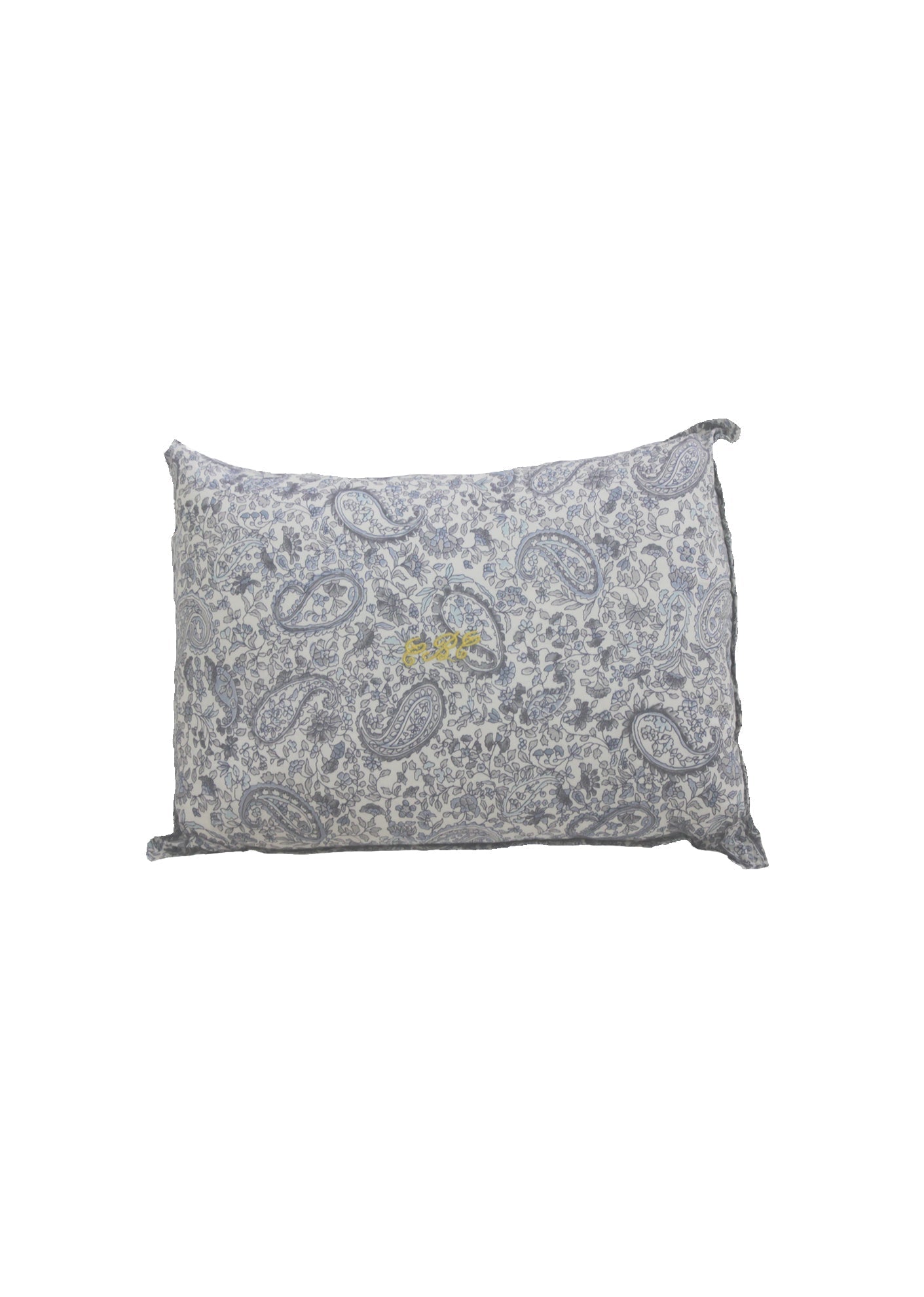 SCATTER CUSHION - BLUE PAISLEY